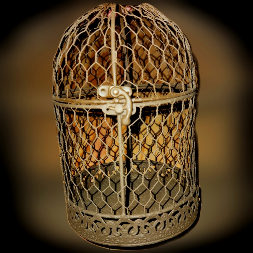 Brown decorative bird cage